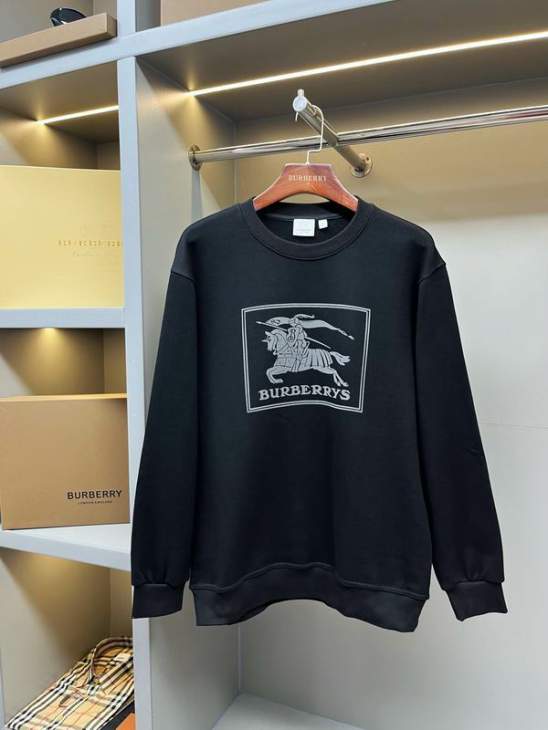 Picture of Burberry Sweatshirt _SKUBurberryS-2XLaztx875431006